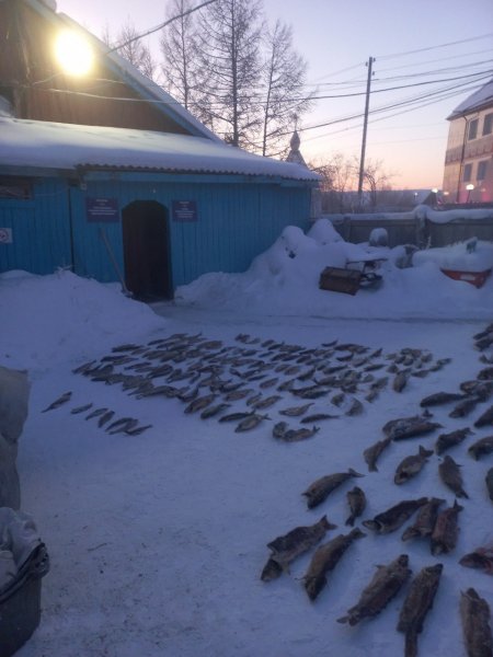 В Якутии сотрудниками полиции возбуждено уголовное дело о незаконной добыче водных биологических ресурсов